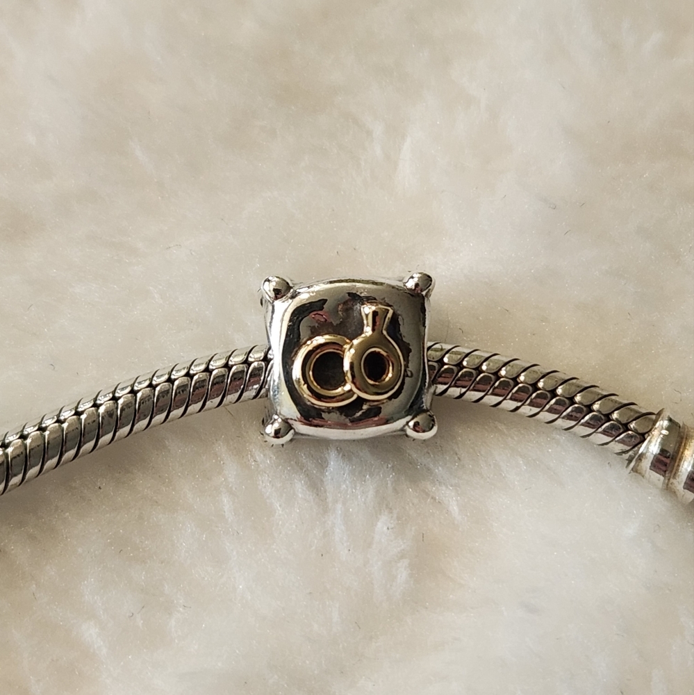 Pandora Romantic Union charm